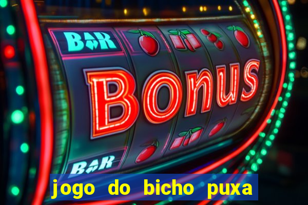 jogo do bicho puxa de dona maria